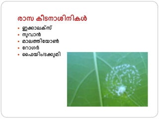 രാസ കീടനാശ്ിനികള്‍
 ഇക്കാലക്സ
 നുവാന്‍
 മാലതിഫയാണ്‍
 ഫറാ്ര്
 ജഫയിം/ടക്കുമി
 