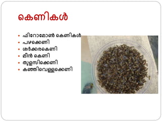 ്കണികള്‍
 ഫിഫറാഫമാണ്‍ ്കണികള്‍
 പഴ്ക്കണി
 ശ്ര്ക്കര്കണി
 മീന്‍ ്കണി
 തുളസി്ക്കണി
 കഞ്ഞി്വള്ള്ക്കണി
 