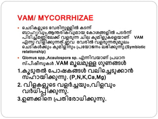 VAM/ MYCORRHIZAE
 ്ചടികള ്ട ഫവരിനുള്ളില്‍ കടന്ന്
ബാഹയവും,ആന്തരികവുമായ ഫകാശ്ങ്ങളില്‍ പടര്ന്ന്
പിടിച്ച്മണ്ണിഫലക്ക് വളരുന്ന ചില കുമിള ക്ളയാണ VAM
എന്നു വിളിക്കുന്നത്.ഇവ ഫവരില്‍ വളരുന്നതുമൂലം
്ചടികള്‍ക്കും കുമിളിനും ്പഫയാൈനം ലഭിക്കുന്നു.(Symbiotic
relationship)
 Glomus spp.,Acaulospora sp. എന്നിവയാണ ്പധാന
സപീഷീസുകള്‍ .VAM മൂലമുള്ള ്ുണങ്ങള്‍
1.കൂടുതല്‍ ഫപാഷകങ്ങള്‍ വലി്ച്ചടുക്കാന്‍
സഹായിക്കുന്നു. (P,N,K,Ca,Mg)
2. വിളകള ്ട വളര്ച്ചയും,വിളവും
വര്ധിപ്പിക്കുന്നു.
3.ഉണക്കി്ന ്പതിഫരാധിക്കുന്നു.
 