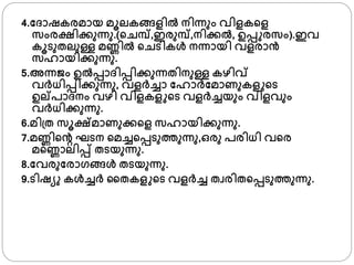 4.ഫദാഷകരമായ മൂലകങ്ങളില്‍ നിന്നും വിളക്ള
സംരക്ഷിക്കുന്നു.(്ചമ്പ്,ഇരുമ്പ്,നിക്കല്‍, ഉപ്പ രസം).ഇവ
കൂടുതലുള്ള മണ്ണില്‍ ്ചടികള്‍ നന്നായി വളരാന്‍
സഹായിക്കുന്നു.
5.അന്നൈം ഉല്‍പ്പാദിപ്പിക്കുന്നതിനുള്ള കഴിവ്
വര്ധിപ്പിക്കുന്നു, വളര്ച്ചാ ഫഹാര്ഫമാണുകള ്ട
ഉല്പാദനം വഴി വിളകള ്ട വളര്ച്ചയും വിളവും
വര്ധിക്കുന്നു.
6.മി്ത സൂക്ഷ്മാണുക്ക്ള സഹായിക്കുന്നു.
7.മണ്ണി്ന്‍റ ഘടന ്മച്ച്പ്പടുതുന്നു,ഒരു പരിധി വ്ര
മ്ണ്ണാലിപ്പ് തടയുന്നു.
8.ഫവരുഫരാ്ങ്ങള്‍ തടയുന്നു.
9.ടിഷയു കള്‍ച്ചര് ജതകള ്ട വളര്ച്ച തവരിത്പ്പടുതുന്നു.
 
