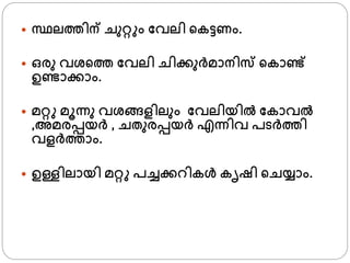  സ്ഥലതിന് ചുറ്റ ം ഫവലി ്കട്ടണം.
 ഒരു വശ്്ത ഫവലി ചിക്കുര്മാനിസ ്കാണ്ട്
ഉണ്ടാക്കാം.
 മറ്റ മൂന്നു വശ്ങ്ങളിലും ഫവലിയില്‍ ഫകാവല്‍
,അമരപ്പയര് , ചതുരപ്പയര് എന്നിവ പടര്തി
വളര്താം.
 ഉള്ളിലായി മറ്റ പച്ചക്കറികള്‍ കൃഷി ്ചയ്ാം.
 