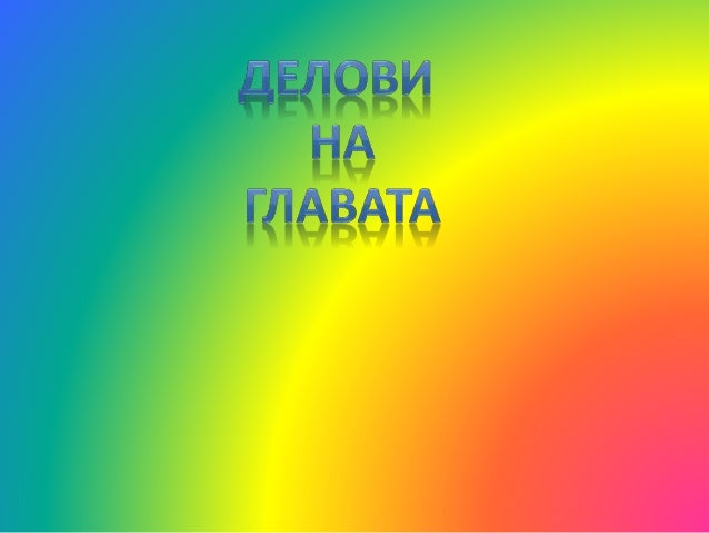 делови на главата