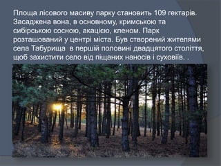 Площа лісового масиву парку становить 109 гектарів.
Засаджена вона, в основному, кримською та
сибірською сосною, акацією, кленом. Парк
розташований у центрі міста. Був створений жителями
села Табурища в першій половині двадцятого століття,
щоб захистити село від піщаних наносів і суховіїв. .
 
