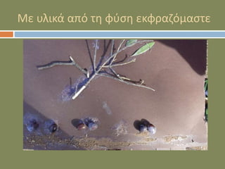 Με υλικά από τη φύση εκφραζόμαστε
 
