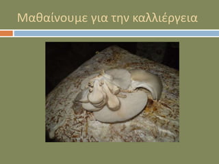 Μαθαίνουμε για την καλλιέργεια
 