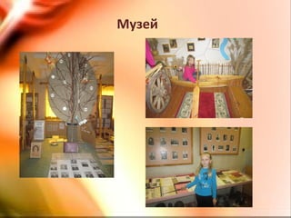 Музей
 