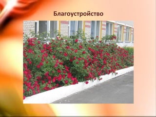 Благоустройство
 