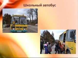 Школьный автобус
 