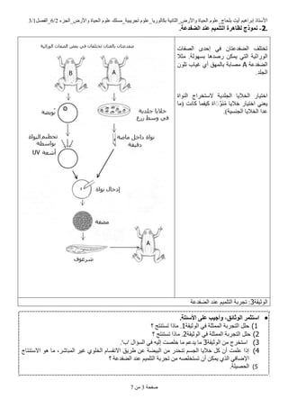 ‫ٚاألسع_اٌعضء‬ ‫اٌح١اج‬ ٍَٛ‫ػ‬ ‫ذعش٠ث١ح_ِسٍه‬ ٍَٛ‫تىاٌٛس٠ا_ػ‬ ‫ٚاألسع_اٌصأ١ح‬ ‫اٌح١اج‬ ٍَٛ‫تٍحاض_ػ‬ ‫أ٠د‬ ُ١٘‫إتشا‬ ‫األسرار‬2/6ً‫_اٌفظ‬1/3
‫طفحح‬3ِٓ7
.2-‫انضفذعخ‬ ‫عُذ‬ ‫انتهًُى‬ ‫نظبهرح‬ ‫ًَىرج‬.
‫اٌظفاخ‬ ٜ‫إحذ‬ ٟ‫ف‬ ْ‫اٌؼفذػرا‬ ‫ذخرٍف‬
ٌٛٙ‫تس‬ ‫سطذ٘ا‬ ٓ‫٠ّى‬ ٟ‫اٌر‬ ‫اٌٛساش١ح‬‫ِصال‬ .‫ح‬
‫اٌؼفذػح‬Aٍْٛ‫ذ‬ ‫غ١اب‬ ٞ‫أ‬ ‫تاٌّٙك‬ ‫ِظاتح‬
.‫اٌعٍذ‬
‫إٌٛاج‬ ‫السرخشاض‬ ‫اٌعٍذ٠ح‬ ‫اٌخال٠ا‬ ‫اخر١اس‬
‫(ِا‬ ‫وأد‬ ‫و١فّا‬ ‫اج‬ ََُُِِّٕٛ ‫خال٠ا‬ ‫اخر١اس‬ ٟٕ‫٠ؼ‬
.)‫اٌعٕس١ح‬ ‫اٌخال٠ا‬ ‫ػذا‬
‫اٌٛش١مح‬3‫اٌؼفذػح‬ ‫ػٕذ‬ ُ١ٍّ‫اٌر‬ ‫ذعشتح‬ :
.
.‫األسئهخ‬ ً‫عه‬ ‫وأجُت‬ ،‫انىثبئق‬ ‫استثًر‬
1)‫ف‬ ‫اٌّّصٍح‬ ‫اٌرعشتح‬ ًٍ‫ح‬‫اٌٛش١مح‬ ٟ1.‫ذسرٕر‬ ‫ِارا‬‫؟‬ ‫ط‬
2)‫اٌٛش١مح‬ ٟ‫ف‬ ‫اٌّّصٍح‬ ‫اٌرعشتح‬ ًٍ‫ح‬2‫ذسرٕر‬ ‫ِارا‬ .‫؟‬ ‫ط‬
3)‫اٌٛش١مح‬ ِٓ ‫اسرخشض‬3.'‫'ب‬ ‫اٌسؤاي‬ ٟ‫ف‬ ٗ١ٌ‫إ‬ ‫خٍظد‬ ‫ِا‬ ُ‫٠ذػ‬ ‫ِا‬
4)‫االسرٕراض‬ ٛ٘ ‫ِا‬ ،‫اٌّثاشش‬ ‫غ١ش‬ ٍٞٛ‫اٌخ‬ َ‫االٔمسا‬ ‫ؽش٠ك‬ ٓ‫ػ‬ ‫اٌث١ؼح‬ ِٓ ‫ذٕحذس‬ ُ‫اٌعس‬ ‫خال٠ا‬ ً‫و‬ ْ‫أ‬ ‫ػٍّد‬ ‫إرا‬
ِٓ ٗ‫ذسرخٍظ‬ ْ‫أ‬ ٓ‫٠ّى‬ ٞ‫اٌز‬ ٟ‫اإلػاف‬‫؟‬ ‫اٌؼفذػح‬ ‫ػٕذ‬ ُ١ٍّ‫اٌر‬ ‫ذعشتح‬
5).‫اٌحظ١ٍح‬
.
 