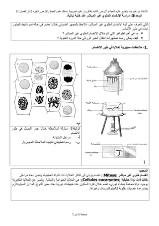 ‫ٚاألسع_اٌعضء‬ ‫اٌح١اج‬ ٍَٛ‫ػ‬ ‫ذعش٠ث١ح_ِسٍه‬ ٍَٛ‫تىاٌٛس٠ا_ػ‬ ‫ٚاألسع_اٌصأ١ح‬ ‫اٌح١اج‬ ٍَٛ‫تٍحاض_ػ‬ ‫أ٠د‬ ُ١٘‫إتشا‬ ‫األسرار‬2/6ً‫_اٌفظ‬1/3
‫طفحح‬5ِٓ7
.‫انىحذح‬3:.‫َجبتُخ‬ ‫خهُخ‬ ‫عُذ‬ ‫انًجبشر‬ ‫غُر‬ ٌ‫انخهى‬ ‫االَقسبو‬ ‫دراسخ‬
‫وعزٚس‬ ‫ٔش١ؾ‬ ّٛٔ ‫حاٌح‬ ٟ‫ف‬ ٛ‫ػؼ‬ ‫خال٠ا‬ ٟ‫اٌؼٛئ‬ ‫تاٌّعٙش‬ ‫ٔالحع‬ ،‫اٌّثاشش‬ ‫غ١ش‬ ٍٞٛ‫اٌخ‬ َ‫االٔمسا‬ ‫آٌ١ح‬ ٍٝ‫ػ‬ ‫ٔرؼشف‬ ٟ‫ٌى‬
.‫اإلٔثاخ‬ ‫ؽٛس‬ ٟ‫ف‬ ‫ٔثاخ‬
‫اال‬ ‫خالي‬ ُ‫ذر‬ ٟ‫اٌر‬ ‫اٌظٛا٘ش‬ ُ٘‫أ‬ ٟ٘ ‫ِا‬‫؟‬ ‫اٌّثاشش‬ ‫غ١ش‬ ٍٞٛ‫اٌخ‬ َ‫ٔمسا‬
‫؟‬ ‫اٌخٍٛ٠ح‬ ‫اٌذٚسج‬ ‫خال‬ ٟ‫اٌٛساش‬ ‫اٌخثش‬ ‫أرماي‬ ‫ذّظٙشاخ‬ ‫سطذ‬ ٓ‫٠ّى‬ ‫و١ف‬
.1-.‫االَقسبو‬ ‫طىر‬ ٍ‫ف‬ ‫نخالَب‬ ‫يجهرَخ‬ ‫يالحظبد‬
‫أ‬
‫ة‬
‫اٌٛش١مح‬1‫ؽٛس‬ ٟ‫ف‬ ً‫اٌثظ‬ ‫ظزس‬ ‫خال٠ا‬ ‫ٌّالحظح‬ ‫ِٕاٌٚح‬ :
.َ‫االٔمسا‬
‫أ‬‌-.‫إٌّاٌٚح‬ ً‫ِشاح‬
‫ب‬‌-ٙ‫اٌّع‬ ‫اٌّالحظح‬ ‫ٌٕر١عح‬ ٟ‫ذخط١ط‬ ُ‫سس‬‫ش٠ح‬.
.
:‫انًعجى‬
[ ‫يجبشر‬ ‫غُر‬ ٌ‫خهى‬ ‫اَقسبو‬Mitose:].ً‫ِشاح‬ ‫تؼذج‬ ‫ٚ٠رّ١ض‬ ،‫اٌحم١م١ح‬ ‫إٌٛاج‬ ‫راخ‬ ‫اٌخال٠ا‬ ‫ذىاشش‬ ٌٝ‫إ‬ ٞ‫٠ؤد‬ َ‫أمسا‬
[ ‫حقُقُخ‬ ‫َىاح‬ ‫راد‬ ‫خالَب‬Cellules eucaryotes]‫اٌثىر١ش٠ح‬ ‫اٌخال٠ا‬ ٓ‫ػ‬ ‫ٚذرّ١ض‬ .‫ٚإٌثاذ١ح‬ ‫اٌح١ٛأ١ح‬ ‫اٌخال٠ا‬ ٟ٘ :
ُ‫ذؼ‬ ،ٞٚٛٔ ‫تغشاء‬ ‫ِحاؽح‬ ‫ٔٛاج‬ ‫تٛظٛد‬َ‫اٌس١رٛتالص‬ ْ‫أ‬ ‫وّا‬ .‫ٌٍٕٛع‬ ‫ِّ١ض‬ ‫تؼذد‬ ‫ٔٛٚ٠ح‬ ‫خ١١طاخ‬ ‫ػذج‬ ْٛ‫اٌسى‬ ‫فرشج‬ ‫خالي‬
.‫ٚغ١ش٘ا‬ ‫واٌّ١رٛوٕذس٠اخ‬ ‫خٍٛ٠ح‬ ‫ؼ١اخ‬ُ‫ػ‬ ‫ػذج‬ ُ‫٠ؼ‬
 