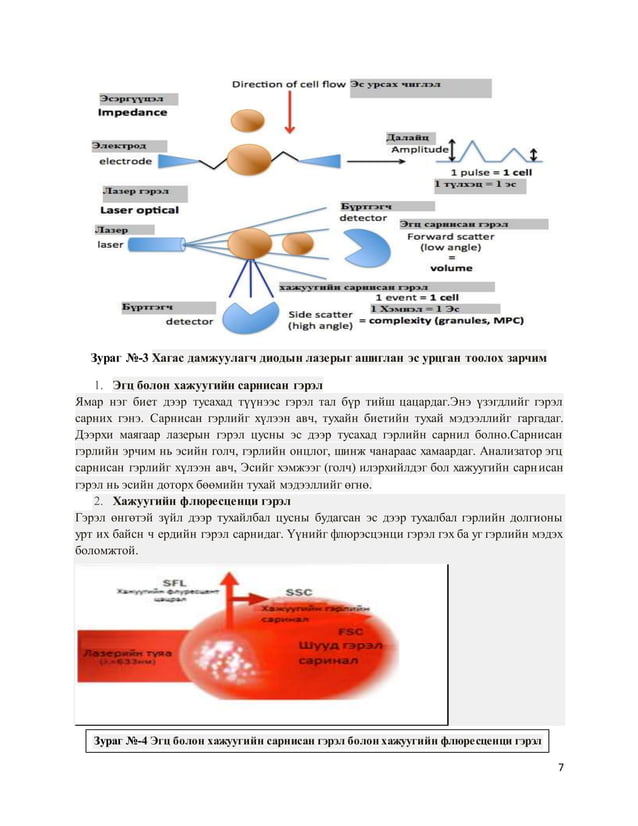 гематологийн анализатор | PDF