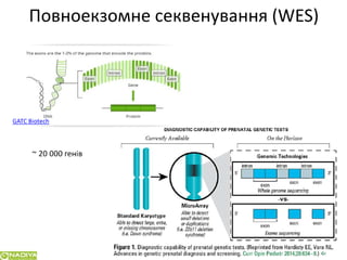 Сучасні підходи до планування сім`ї у пацієнтів з генетичною патологією в розрізі досягненьлабораторної медицини
