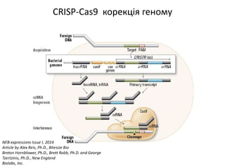 Сучасні підходи до планування сім`ї у пацієнтів з генетичною патологією в розрізі досягненьлабораторної медицини