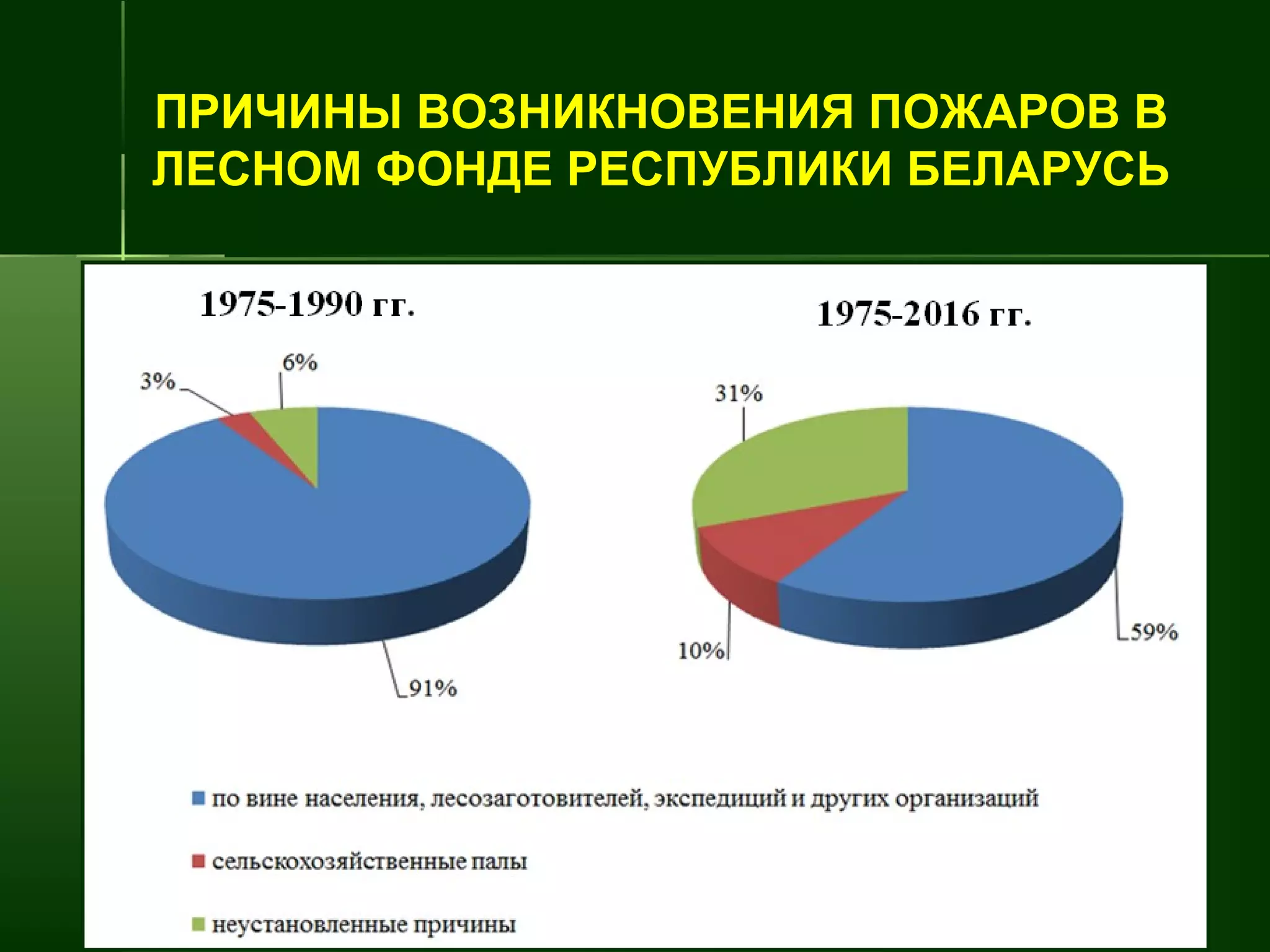 ПРИЧИНЫ ВОЗНИКНОВЕНИЯ ПОЖАРОВ В
ЛЕСНОМ ФОНДЕ РЕСПУБЛИКИ БЕЛАРУСЬ
 