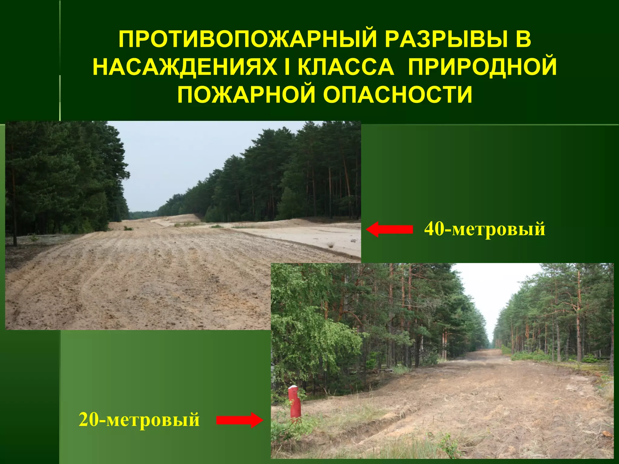 20-метровый
40-метровый
ПРОТИВОПОЖАРНЫЙ РАЗРЫВЫ В
НАСАЖДЕНИЯХ I КЛАССА ПРИРОДНОЙ
ПОЖАРНОЙ ОПАСНОСТИ
 