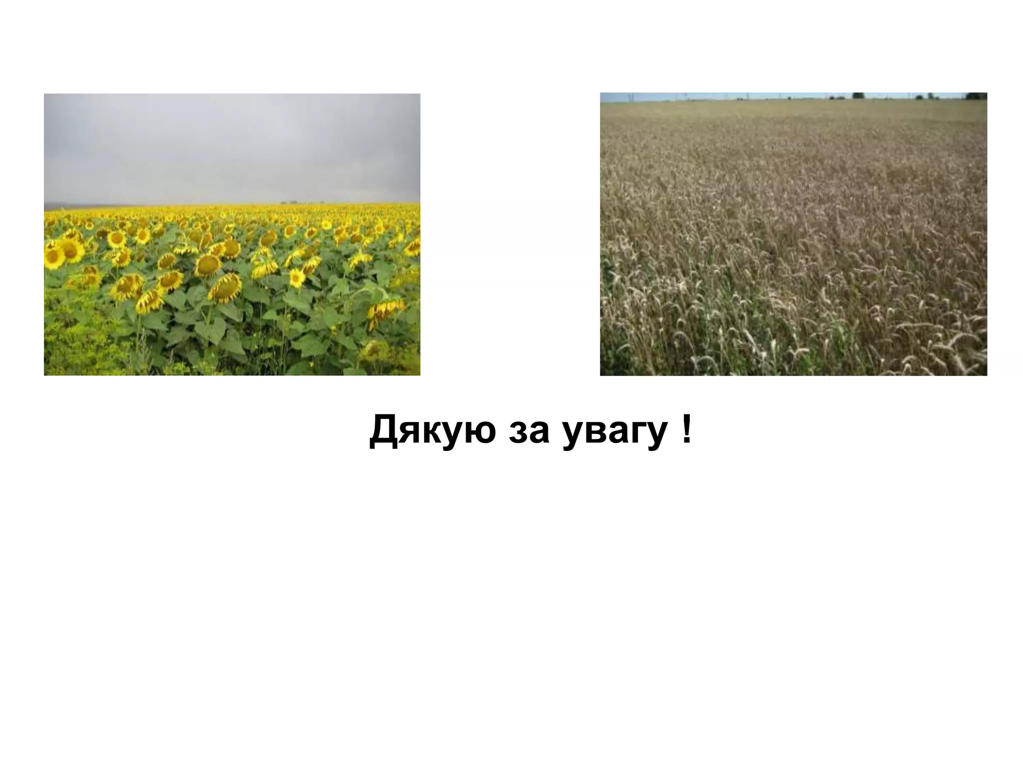 Дякую за увагу !
 