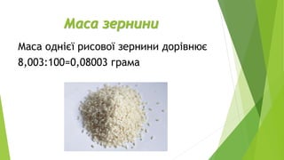 Маса зернини
Маса однієї рисової зернини дорівнює
8,003:100=0,08003 грама
 