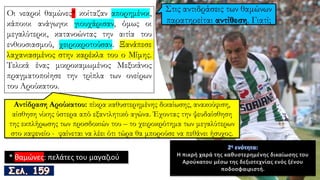 Οι νεαροί θαμώνες* κοίταζαν απορημένοι,
κάποιοι ανάγωγοι γιουχάρισαν, όμως οι
μεγαλύτεροι, κατανοώντας την αιτία του
ενθουσιασμού, χειροκροτούσαν. Ξανάπεσε
λαχανιασμένος στην καρέκλα του ο Μίμης.
Τελικά ένας μικροκαμωμένος Μεξικάνος
πραγματοποίησε την τρίπλα των ονείρων
του Αρούκατου.
* θαμώνες: πελάτες του μαγαζιού
2η ενότητα:
Η πικρή χαρά της καθυστερημένης δικαίωσης του
Αρούκατου μέσω της δεξιοτεχνίας ενός ξένου
ποδοσφαιριστή.
 