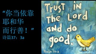“你当依靠
耶和华
而行善！”
诗篇37：3a
 
