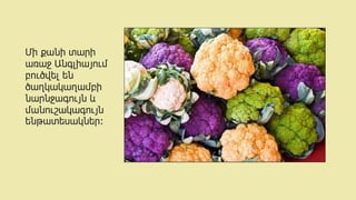 Մի քանի տարի
առաջ Անգլիայում
բուծվել են
ծաղկակաղամբի
նարնջագույն և
մանուշակագույն
ենթատեսակներ։
 