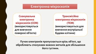 клітина та її дослідження | PPT
