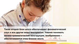 Также второй блок мозга обеспечивает фонематический
слух и все другие виды восприятия. Умение понимать
логико-грамматические конструкции, воображение –
обеспечиваются этим блоком мозга.
 