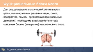 Для осуществления психической деятельности
(речи, письма, чтения, решения задач, счета,
восприятия, памяти, организации произвольных
движений) необходимо взаимодействие трех
основных блоков (аппаратов) человеческого мозга.
Функциональные блоки мозга
 