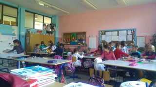 животињски свет