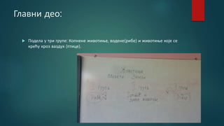 Главни део:
 Подела у три групе: Копнене животиње, водене(рибе) и животиње које се
крећу кроз ваздух (птице).
 