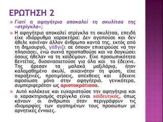  Γιατί η αφηγήτρια αποκαλεί τη σκυλίτσα της
«στρίγκλα»;
 Η αφηγήτρια αποκαλεί στρίγκλα τη σκυλίτσα, επειδή
είχε ιδιόρρυθμο χαρακτήρα: Δεν αγαπούσε και δεν
ήθελε κανέναν άλλον άνθρωπο κοντά της, εκτός από
τη δημιουργό, γάβγιζε σε όποιον επιχειρούσε να την
πλησιάσει, ενώ συχνά προσπαθούσε και να δαγκώσει
όσους ήθελαν να τη χαϊδέψουν. Είχε προσωπικότητα
βεντέτας, δυσανασχετούσε για όλα και το έδειχνε.
Της άρεσαν τα μαλακά μαξιλάρια, ήταν
καλομαθημένο σκυλί, σιχαινόταν τη φύση, είχε
παραξενιές, προτιμήσεις, απέχθειες και έδειχνε
αφοσίωση μόνο στην αφηγήτρια. γενικότερα,
συμπεριφερόταν ως αριστοκράτισσα.
 Αυτό κολάκευε και ευχαριστούσε την αφηγήτρια και
ο χαρακτηρισμός στρίγκλα είναι χαϊδευτικός, όπως
κάνουν οι άνθρωποι όταν περιγράφουν τις
ιδιομορφίες των αγαπημένων τους προσώπων με
αρνητικές έννοιες.
 