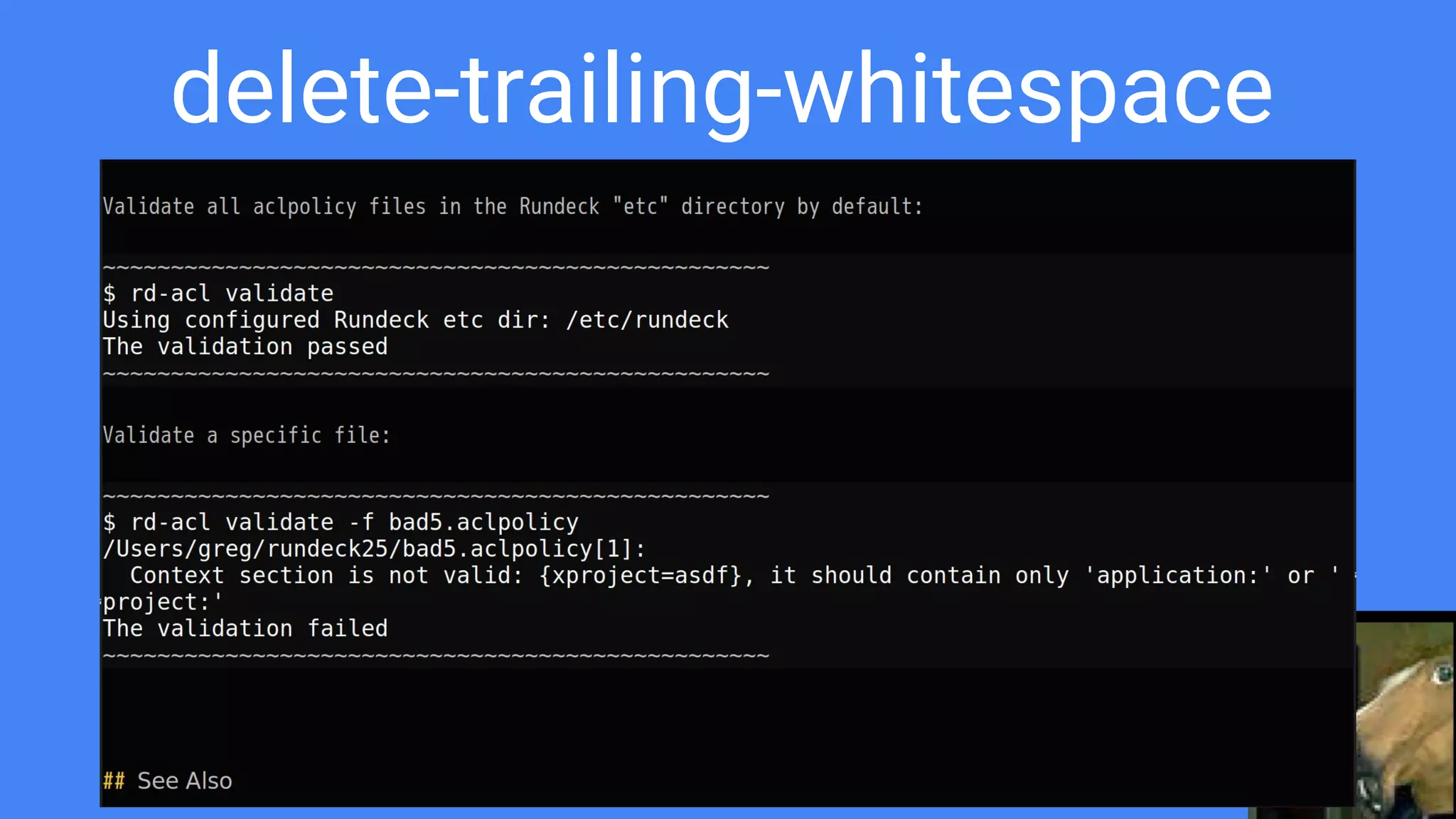 delete-trailing-whitespace
 