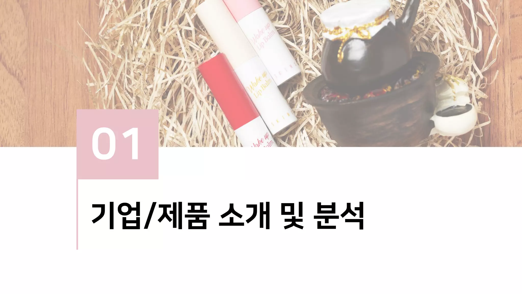 01
기업/제품 소개 및 분석
 