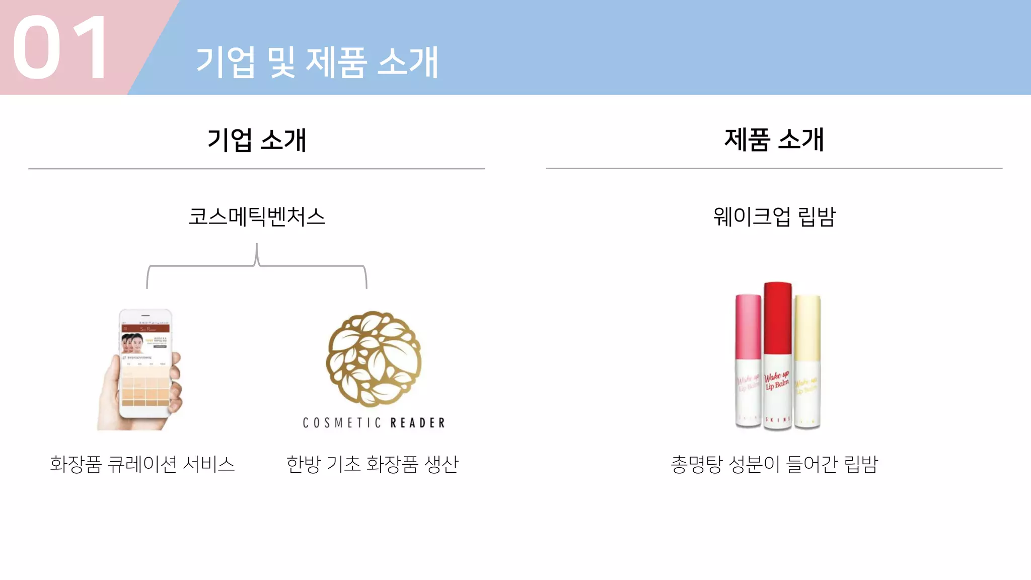 01 기업 및 제품 소개
기업 소개 제품 소개
코스메틱벤처스
화장품 큐레이션 서비스 한방 기초 화장품 생산
웨이크업 립밤
총명탕 성분이 들어간 립밤
 