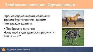 Проблемне навчання. Одомашнення
Процес одомашнення свійських
тварин був тривалим, довгим
і не завжди вдалим.
• Проблемне питання
Чому одні види вдалося приручити,
а інші — ні?
 