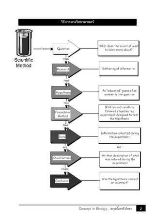 2Concept in Biology ; สรุปเนื้อหาชีววิทยา
วิธีการทางวิทยาศาสตร์
 