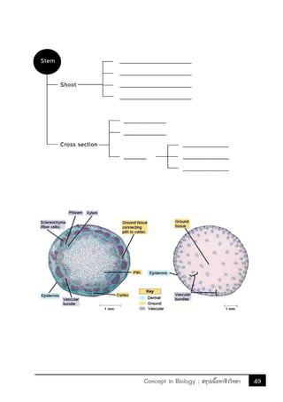 49Concept in Biology ; สรุปเนื้อหาชีววิทยา
 