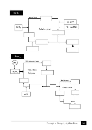55Concept in Biology ; สรุปเนื้อหาชีววิทยา
 