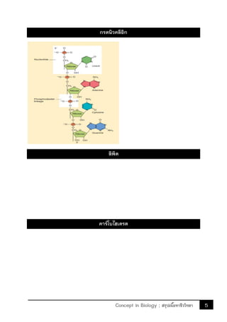 5Concept in Biology ; สรุปเนื้อหาชีววิทยา
กรดนิวคลีอิก
ลิพิด
คาร์โบไฮเดรต
 