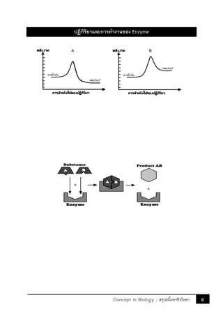 6Concept in Biology ; สรุปเนื้อหาชีววิทยา
ปฏิกิริยาและการท้างานของ Enzyme
 