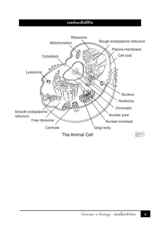8Concept in Biology ; สรุปเนื้อหาชีววิทยา
เซลล์ของสิ่งมีชีวิต
 