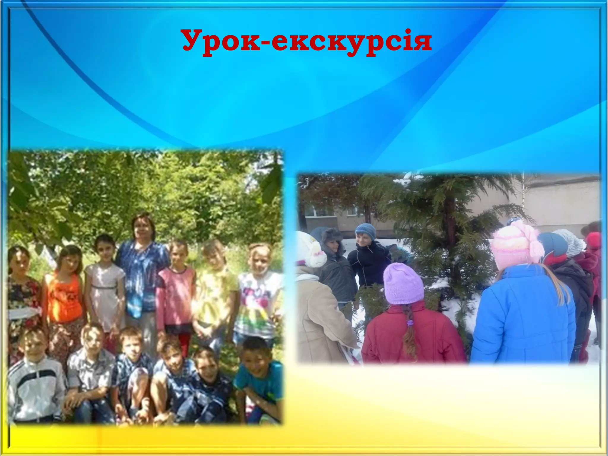 Урок-екскурсія
 