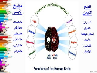 ‫المخ‬
‫األيمن‬
‫لوان‬ ‫األ‬
‫الخيال‬
‫اليقظة‬ ‫أحالم‬
‫األبعاد‬
‫التناسق‬
‫األلحان‬
•‫المخ‬
‫األيسر‬
•‫الكلمات‬
•‫األرقام‬
•‫التحليل‬
•‫المنطق‬
•‫الترتيب‬
•‫القوائم‬
 
