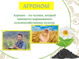 Агроном – это человек, который
занимается выращиванием
сельскохозяйственных культур.
 