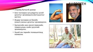 бэлгийн булчирхайн эмгэгүүд | PPT