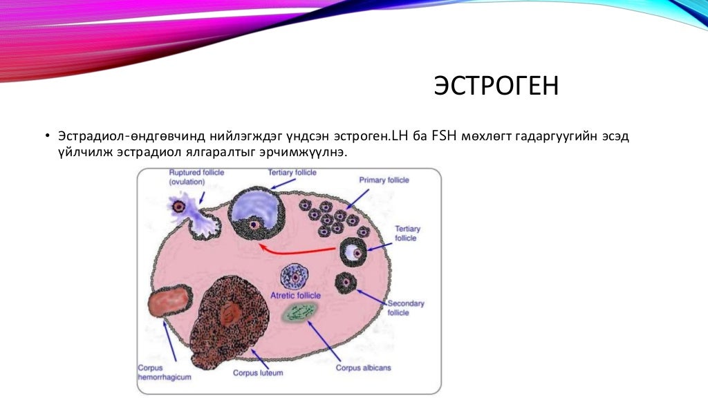 бэлгийн булчирхайн эмгэгүүд