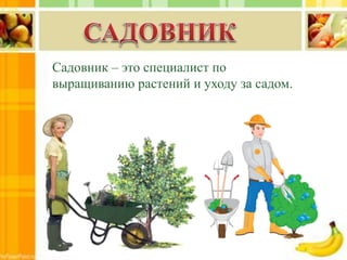 Садовник – это специалист по
выращиванию растений и уходу за садом.
 
