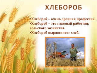 •Хлебороб – очень древняя профессия.
•Хлебороб – это главный работник
сельского хозяйства.
•Хлебороб выращивает хлеб.
 