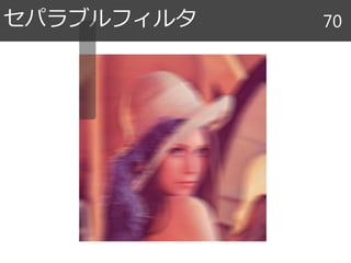 セパラブルフィルタ 70
 