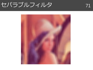 セパラブルフィルタ 71
 