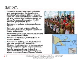 ΠΑΠΟΥΑ
28/11/2017Αλή Ογλού Ντάλια ΣΤ΄1-2ο Δημοτικό Σχολείο
Ξάνθης Γλώσσα-Αυτόχθονες Λαοί
9
 Οι Παπούα ζουν εδώ και χιλιάδες χρόνια στο
νησί της Νέας Γουινέας, που βρίσκεται στα
δυτικά της Αυστραλίας και φθάνουν µέχρι τα
νησιά του Αρχιπελάγους Βίσµαρκ. Το νότιο μισό
της Νέας Γουινέας είναι ανεξάρτητο κράτος και
λέγεται Παπουασία. Είναι περίπου 900.000
άτοµα και χωρίζονται σε φυλές.
 Βρίσκονται σε ηµιάγρια κατάσταση ακόµη και
σήµερα.
 Έχουν µέσο ανάστηµα και µικρά πόδια. Το
χρώµα τους είναι µελανό, τα χείλη παχιά και τα
µαλλιά τους κατσαρά.
 Τα σπίτια τους είναι µικρά, κατασκευασµένα από
ξύλο, φυλλώµατα και άχυρο.
 Ζουν κυρίως στη ζούγκλα, αλλά και δίπλα σε
ποτάµια και ακτές.
 Κυκλοφορούν σχεδόν γυµνοί. Το µόνο ένδυµά
τους είναι φαρδιές ζώνες από φλούδες
δένδρων. Συχνά διακοσµούν τα κεφάλια τους µε
πολύχρωµα φτερά, κοχύλια και µικρά κόκκαλα.
 Τα όπλα τους είναι πέτρινα. Εκτός από τα
προϊόντα του δάσους, καλλιεργούν σε µικρούς
κήπους καλαµπόκι, µανιόκα, λαχανικά και τάρο.
 